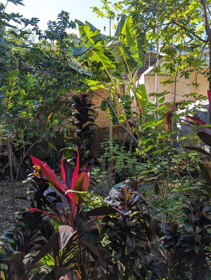 Agus Family Homestay Labuan Bajo Eksteriør billede